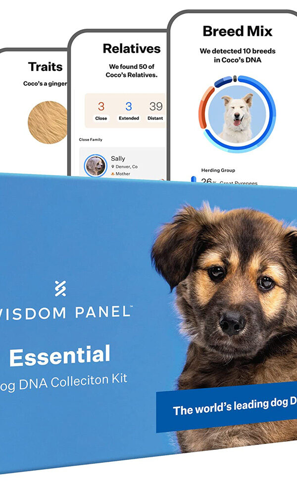 Wisdom Panel Essential: Most Accurate Dog DNA Test Kit for Breed ID and Ancestry